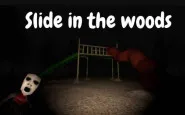 Slide in the Woods